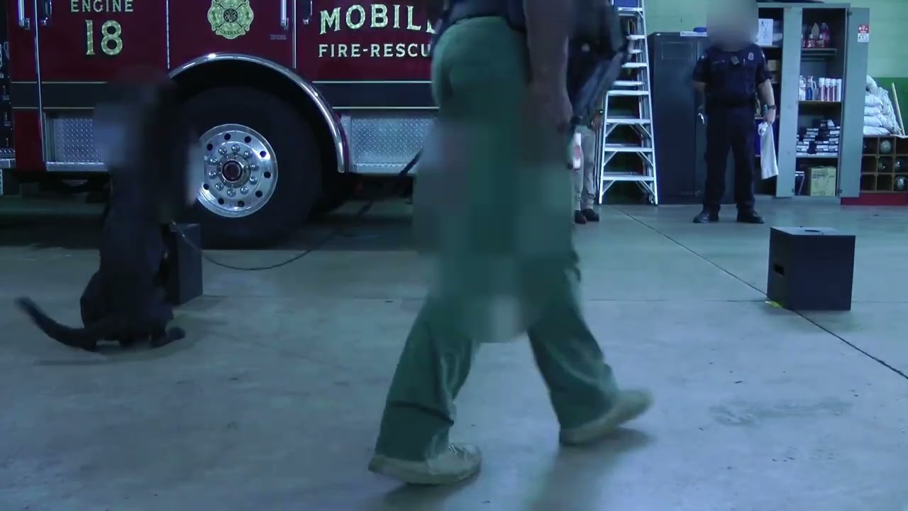 Konikore and certified K9 units in a side-by-side trial